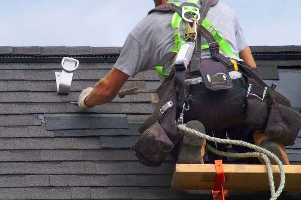 Best Roof Gutter Cleaning  in Rockdale, TX